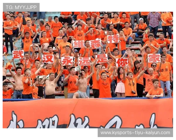 球迷们的热情支持，点燃赛场激情！，足球热情